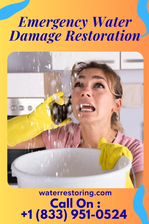 Emergency Water Damage Restoration in Champaign, IL