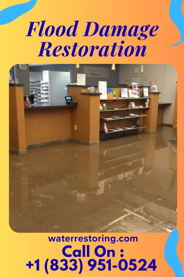 Flood Damage Restoration in Champaign, IL