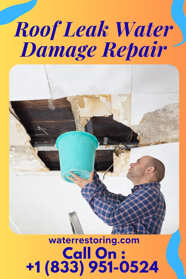 Roof Leak Water Damage Repair in Champaign, IL